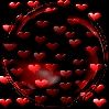 member's avatar