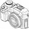 member's avatar