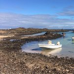 Tamablanc54_IMG_0484jpeg