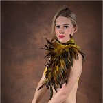 Les plumes jaunes