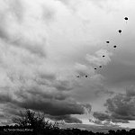 Sl50_FB_IMG_1754120620494