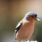Sl50_FB_IMG_1720692555335