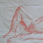 Colibris_20251229_110155