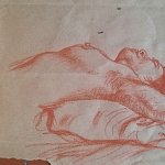 Colibris_20251213_104141