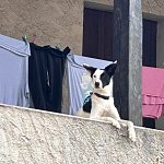 AimpPhotos_VAWV8507jpeg