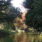 Automne
