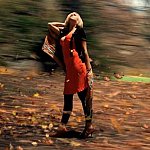 Automne a central park