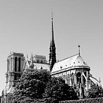 notre dame