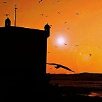 Le pêcheur d'Essaouira