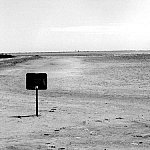 Camargue