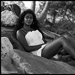 sylvia