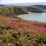 Coin de Paradis en Bretagne