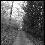 La lumière au Bout du tunnel