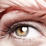 Oeil