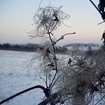 Paysage d'hiver.
