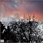 Nature Ciel et Arbres (Sky and Trees)