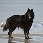 Hélysse a la plage en décembre