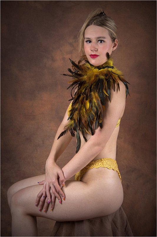 Les plumes jaunes