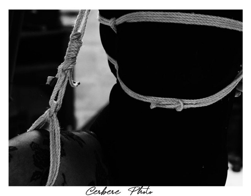 CerberePhoto_20260728_193613