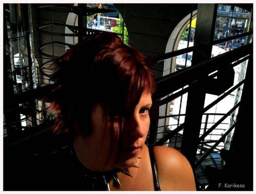 Sombres polars
