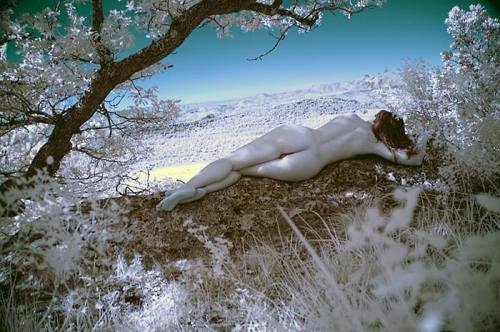 claire M
