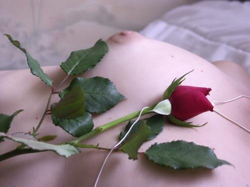Coeur de rose