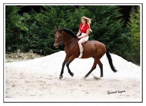 a cheval