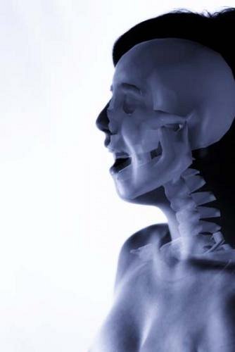 Anatomie