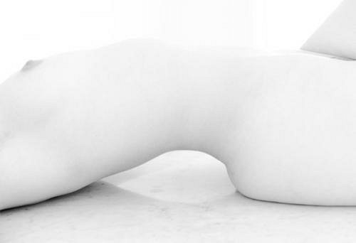 Loica 1