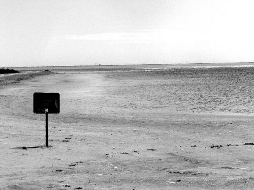 Camargue