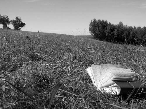 Déjeuner sur l'herbe