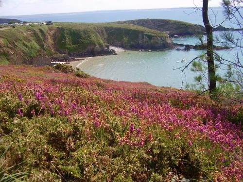 Coin de Paradis en Bretagne