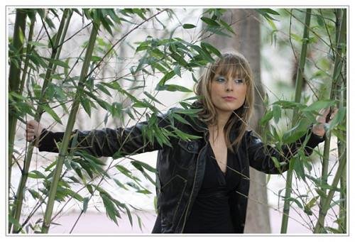 jungle