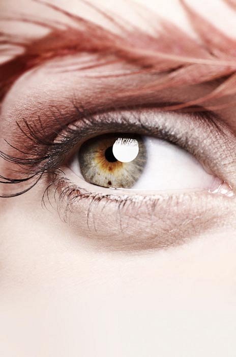 Oeil