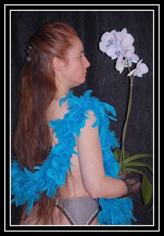 Boa et Orchidees