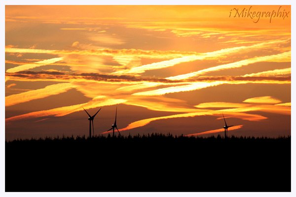 Paysage