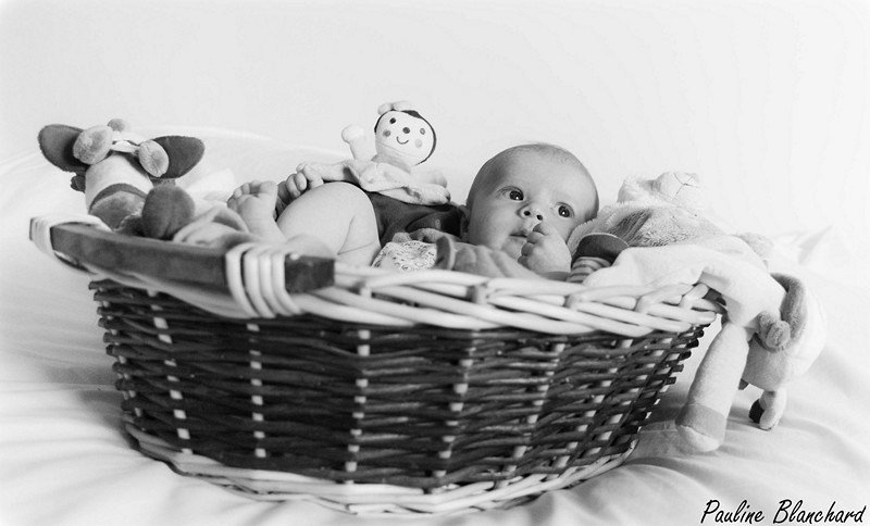 bébé