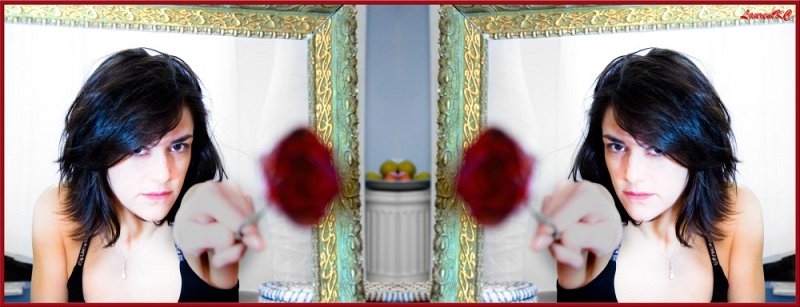 Rose miroir