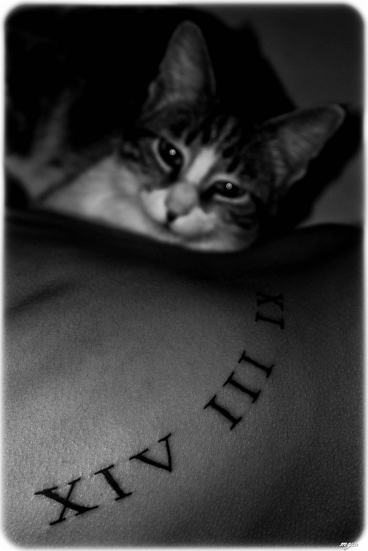 Elodie