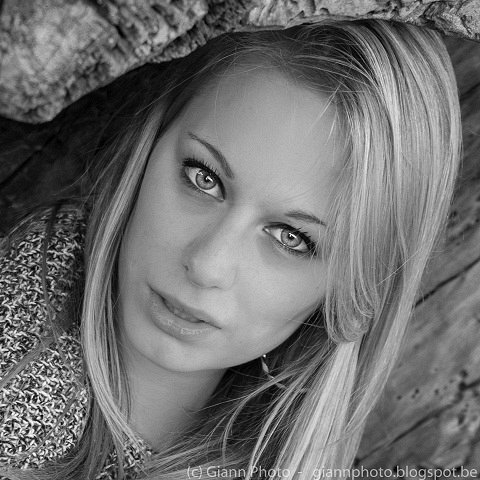 Close-up