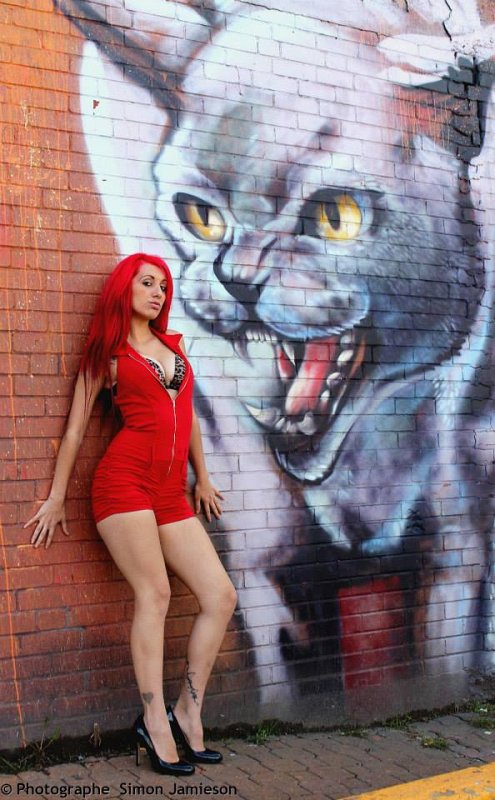 cat