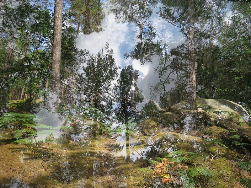 Fontainebleau