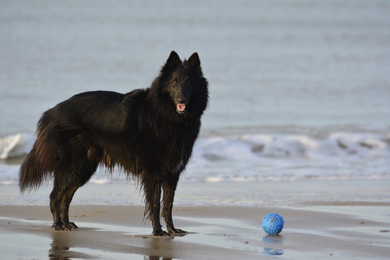 Hélysse a la plage en décembre