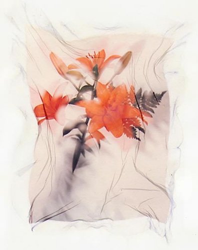 Fleur