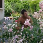 le rosier magic