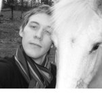 cheval 2