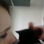 ::I love My Black Kitty::