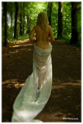En forêt