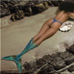Sirene