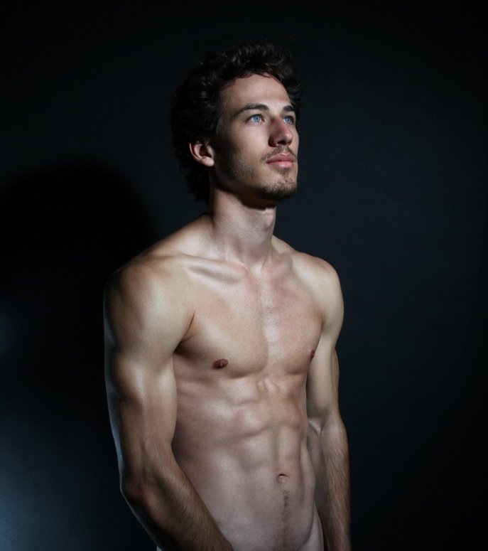 Musculature